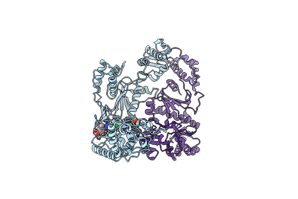 3DOK image