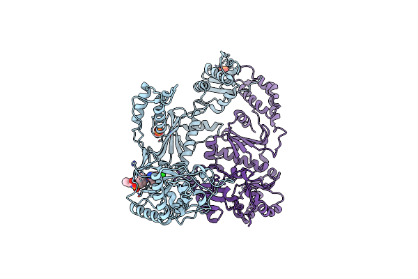 3DOL image