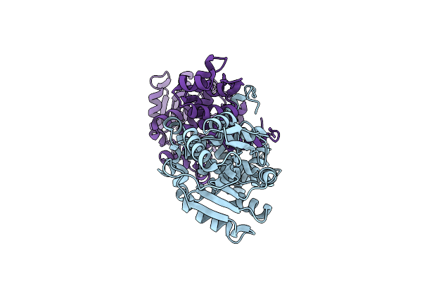 3DP7 image