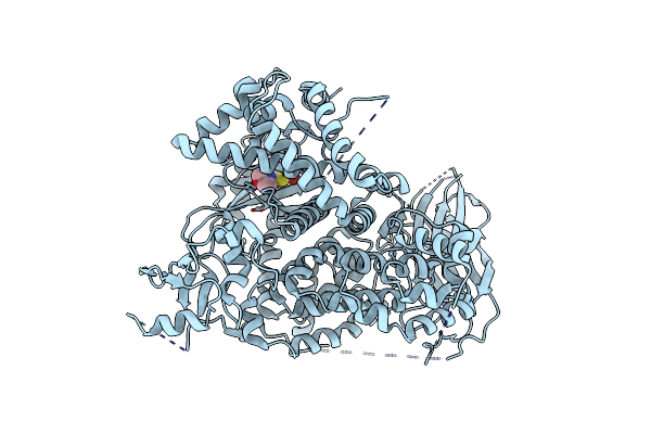 3DPD image