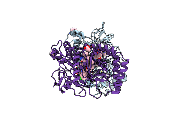 3DQT image