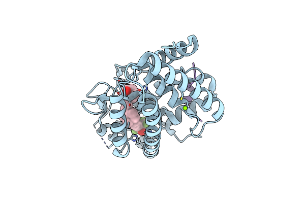 3DR1 image