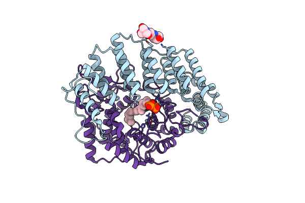 3DRA image