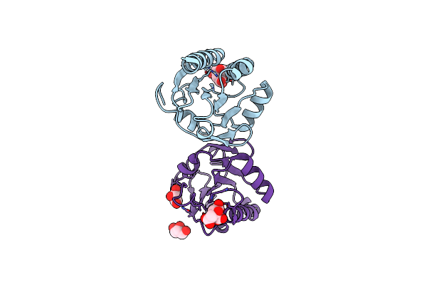 3DRN image