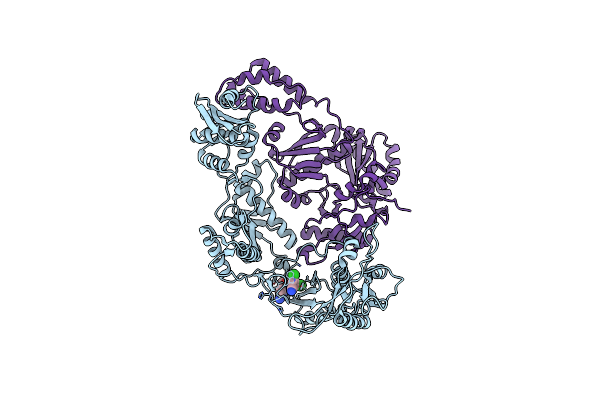 3DRR image