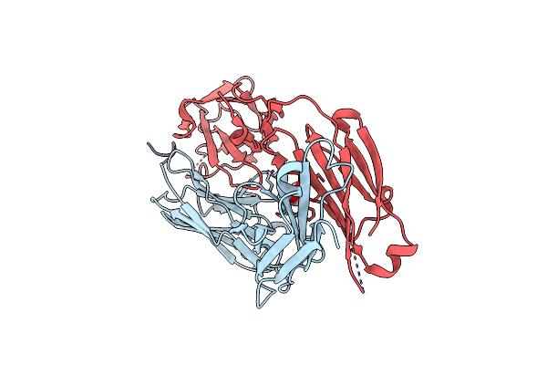 3DRT image