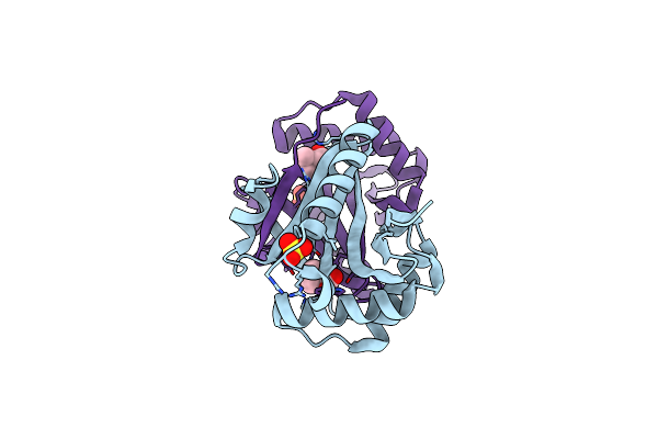 3DSB image