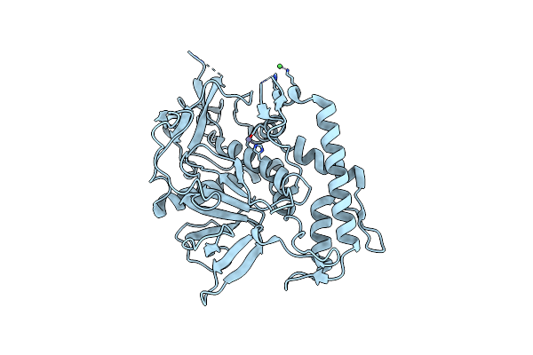 3DSE image