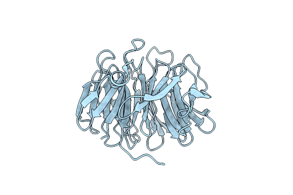 3DSM image