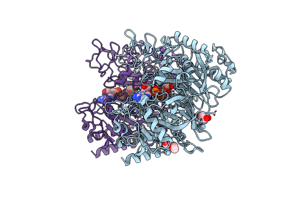3DT7 image