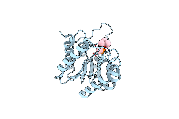 3DT9 image