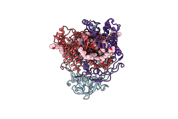 3DTA image