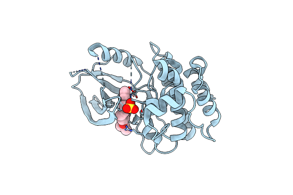 3DTC image