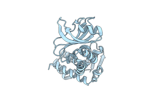 3DTE image
