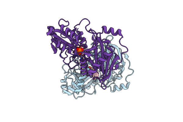 3DTG image