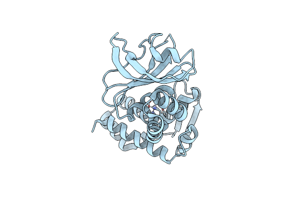 3DTI image