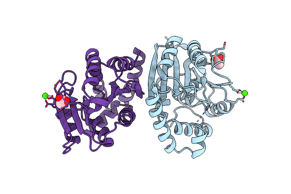 3DTN image