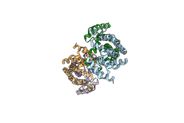 3DTO image