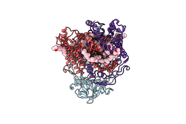 3DTR image