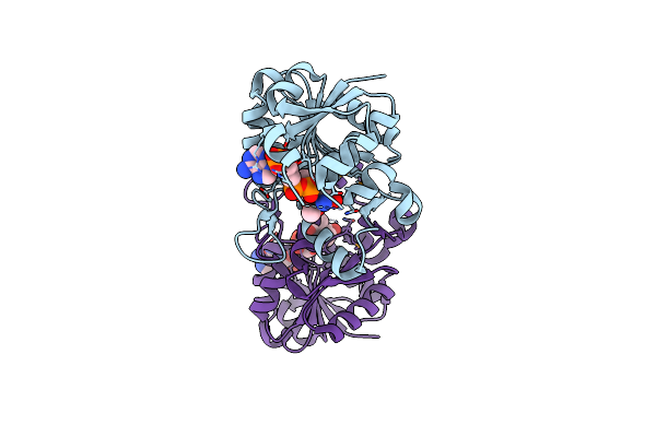 3DTT image