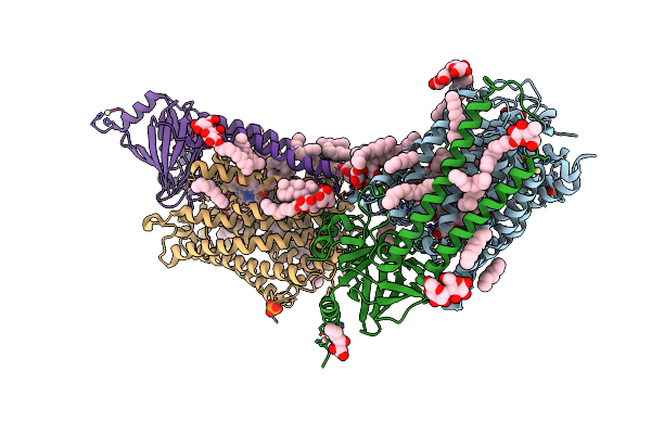 3DTU image