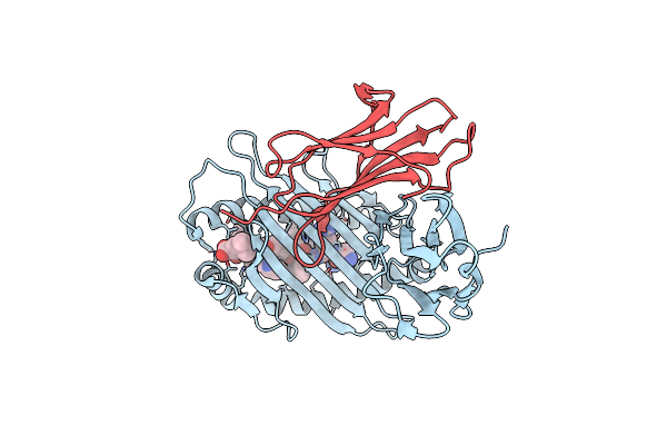 3DTX image