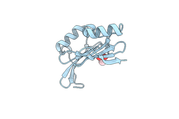 3DUE image