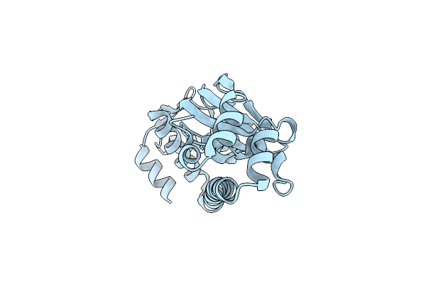 3DV8 image