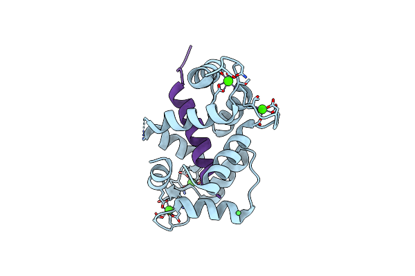 3DVE image
