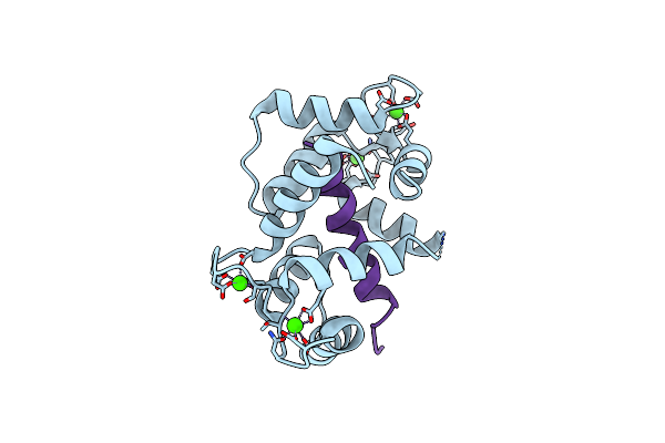 3DVJ image