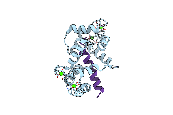 3DVK image