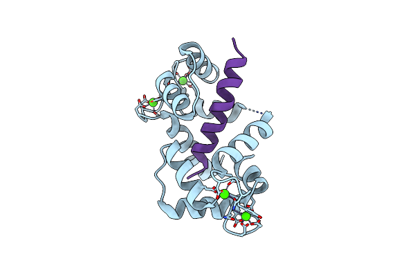 3DVM image