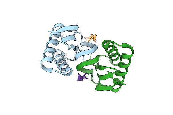 3DVP image