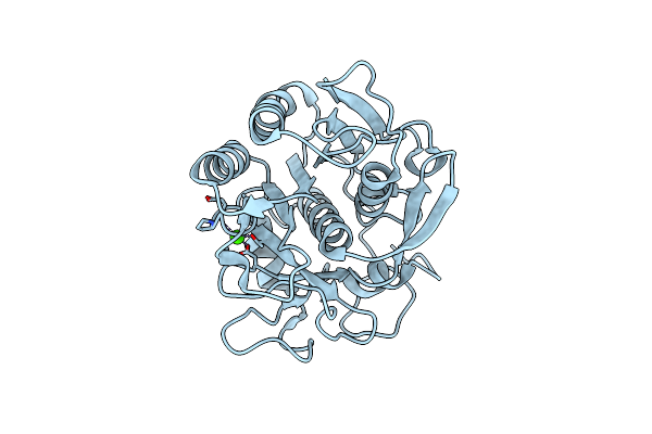 3DVQ image