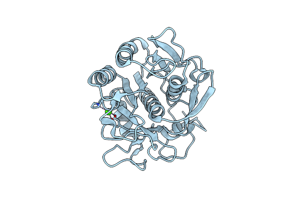 3DVS image