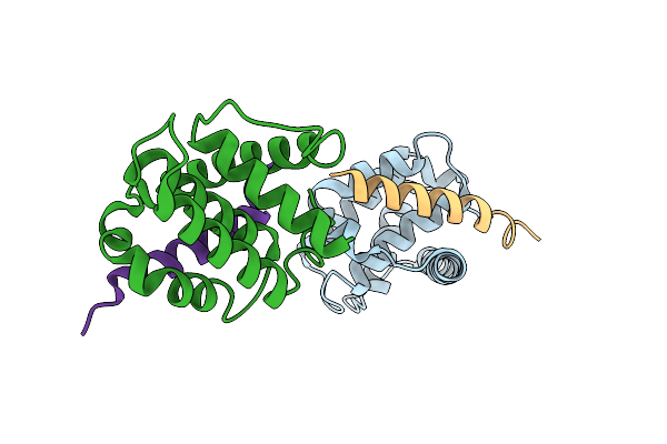 3DVU image