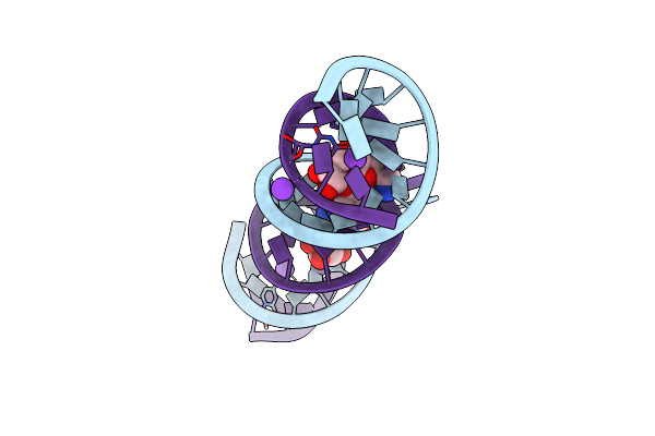 3DVV image