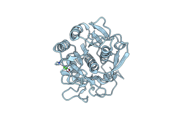 3DW1 image