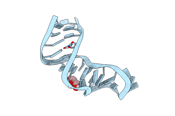 3DW4 image