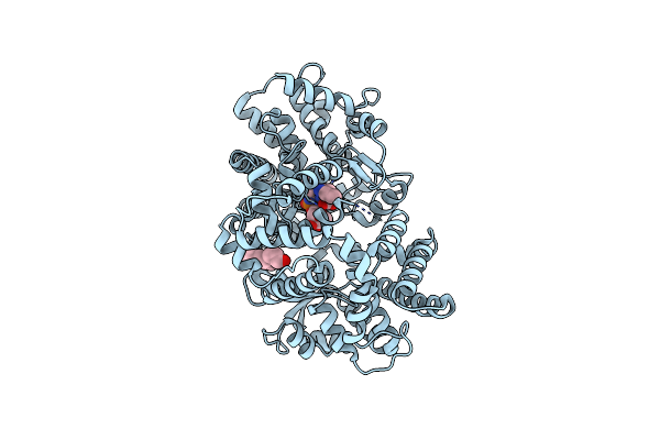 3DWB image