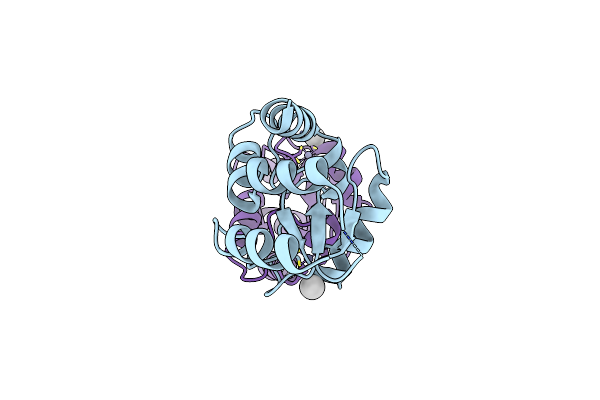 3DWD image