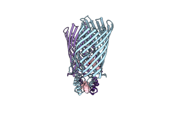 3DWN image