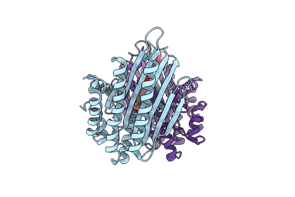 3DWS image