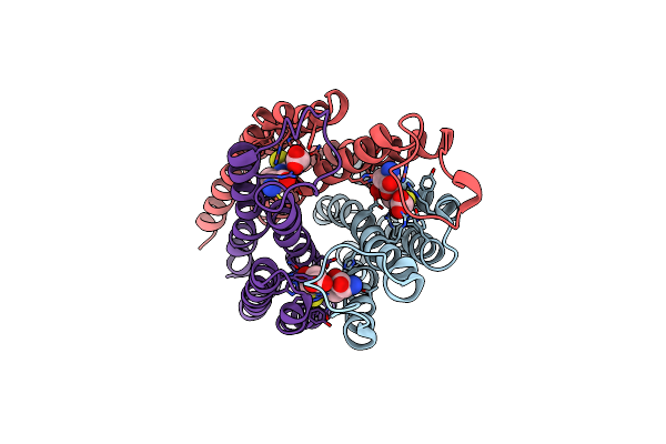 3DWW image