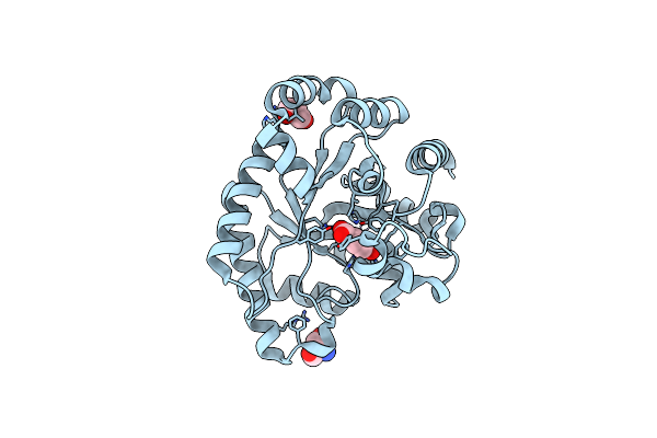 3DX5 image
