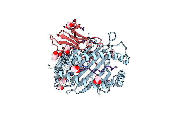 3DX6 image