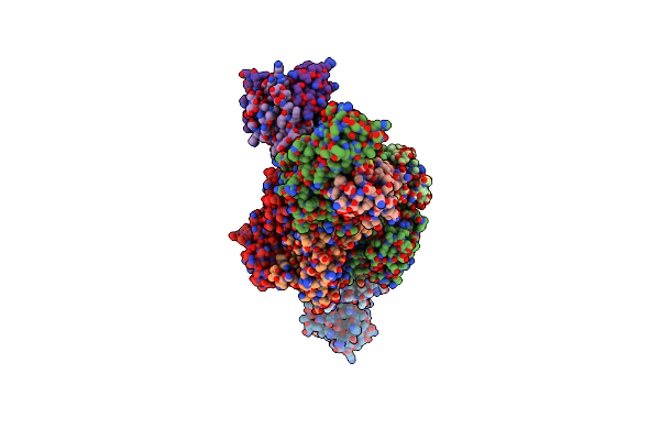 3DXA image