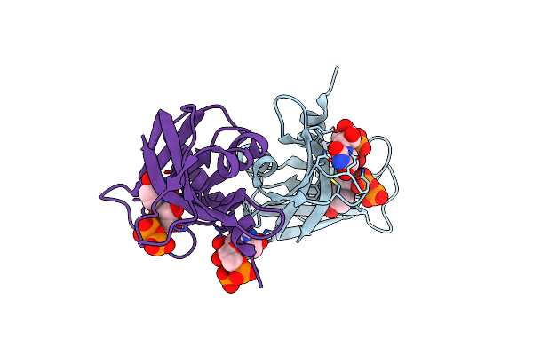 3DXH image