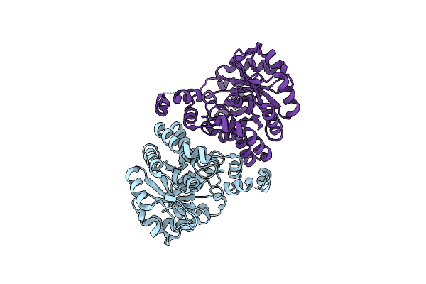 3DXI image