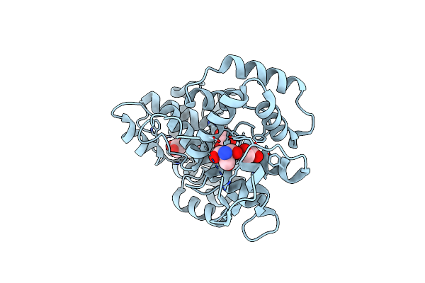 3DXL image